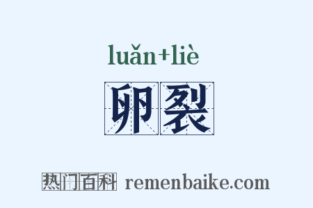 卵裂是什么意思的图片